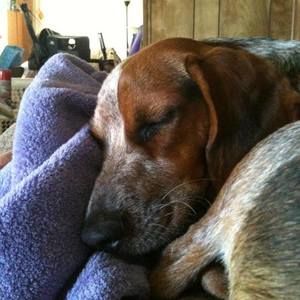 Meet your Posher, Cheryl